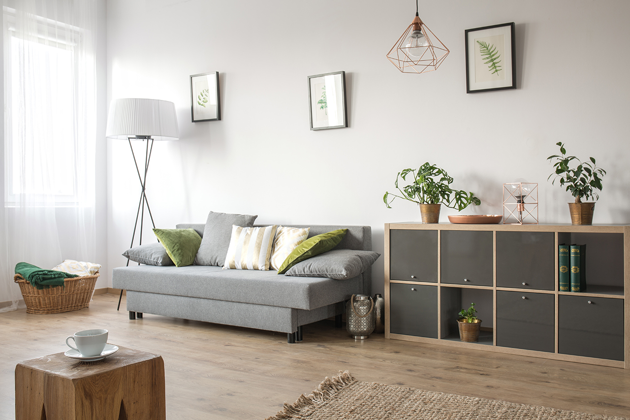 Cozy living room with sofa